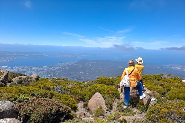 Summit kunanyi / Mt Wellington: Hobart Shore Excursion with Panoramic Views photo 2