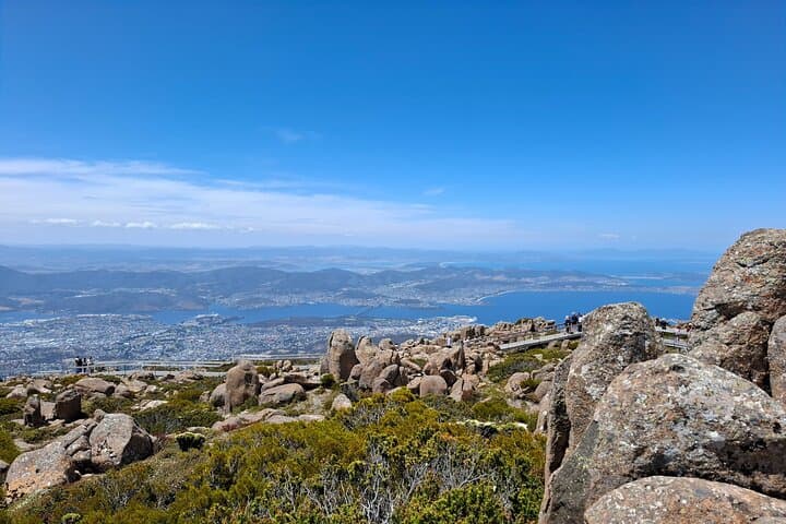 Summit kunanyi / Mt Wellington: Hobart Shore Excursion with Panoramic Views photo 3