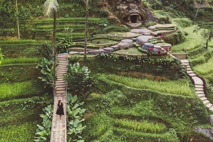 Ubud Private Tour — Monkey Forest, Tegalalang Rice Terraces, Campuhan Ridge & Tegenungan Waterfall photo 3