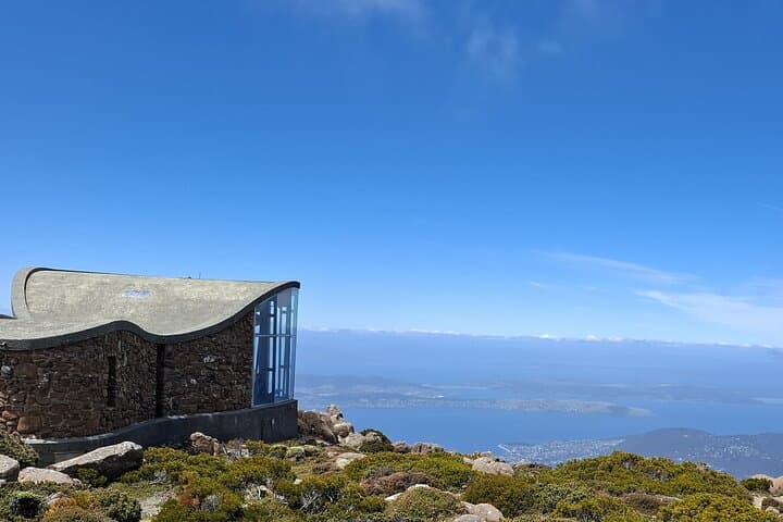 Summit kunanyi / Mt Wellington: Hobart Shore Excursion with Panoramic Views photo 4