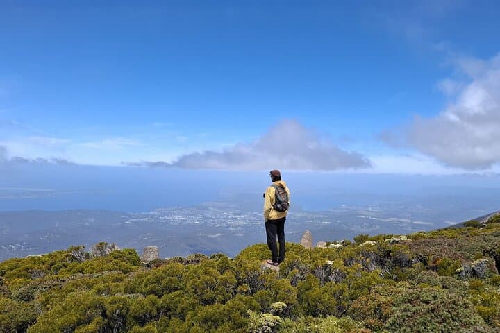 Summit kunanyi / Mt Wellington: Hobart Shore Excursion with Panoramic Views photo 5