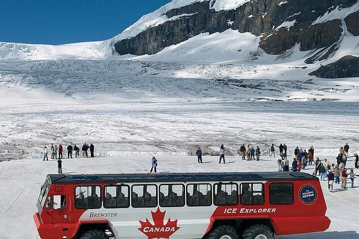 Columbia Icefield, Peyto Lake & Bow Lake Day Trip from Banff/Calgary photo 6