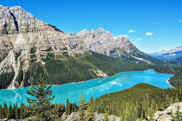 Columbia Icefield, Peyto Lake & Bow Lake Day Trip from Banff/Calgary photo 4