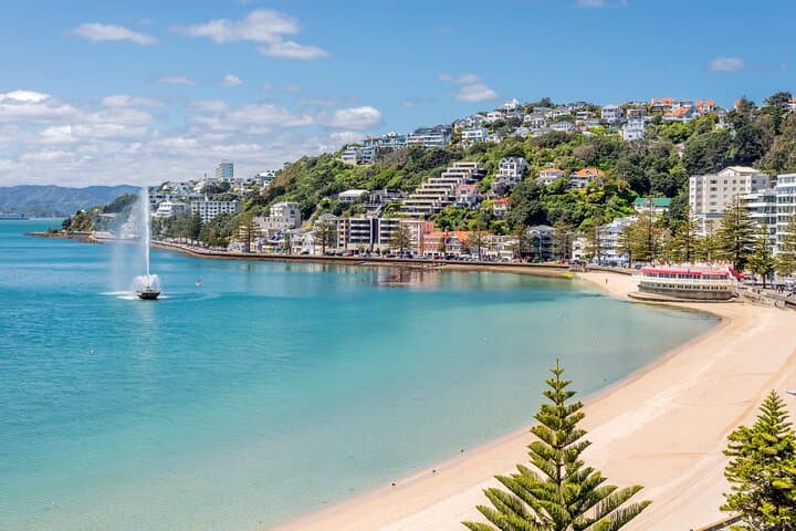 Wellington Mount Victoria Hike — Guided Climb, Filming Sites & Oriental Bay Walk (2.5 hrs) photo 4