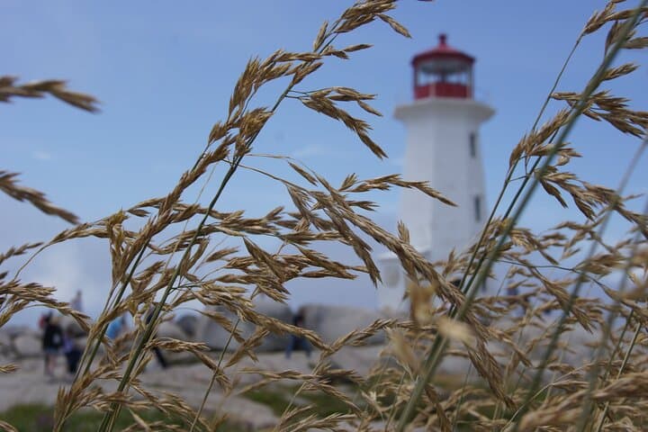 Coastal Storytelling: Private Seascape Excursions from Halifax photo 2