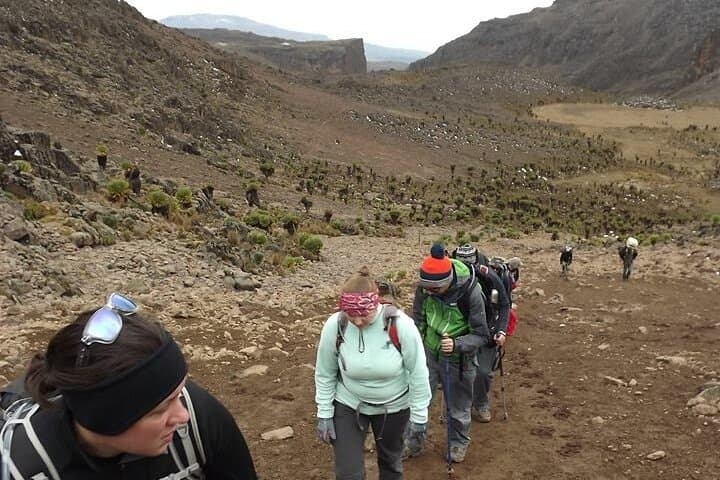 Mount Kenya 6-Day Trek to Point Lenana via Sirimon Route photo 4