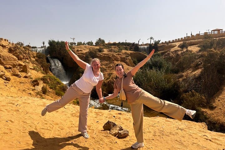 Jeep Safari to Wadi Hitan & Wadi El Rayan: Day Trip from Cairo with Sandboarding
