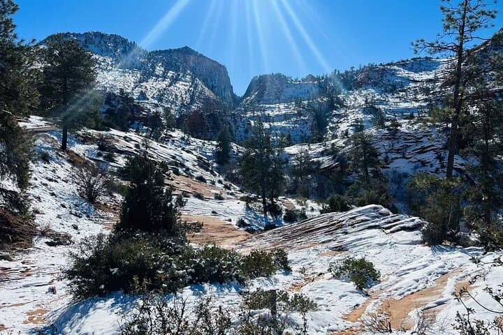 Full-Day Small-Group Zion Hiking Tour from Las Vegas — Canyon Overlook, Emerald Pools & Riverside Walk photo 5