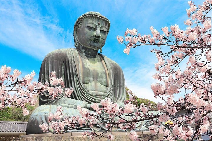 Kamakura Cherry Blossom Full-Day Walking Tour with a Local Guide