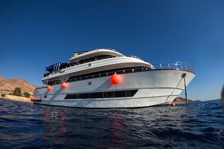 Aqaba Boat Dive & Snorkel: Half-Day Red Sea Trip from Ayla Marina