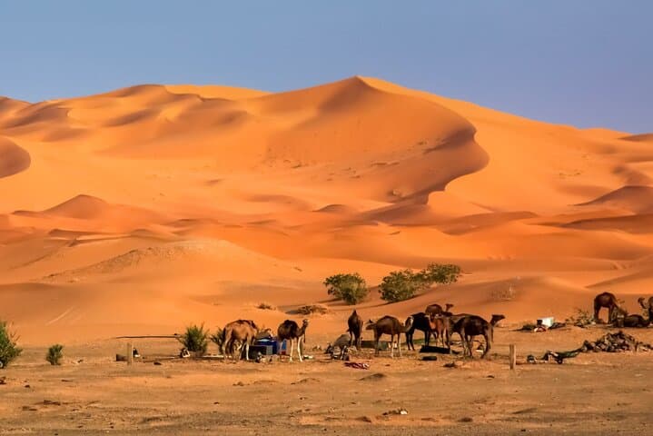3-Day Merzouga Desert from Marrakech: Camel Ride, Erg Chebbi Camp & Dune Sunrise photo 3