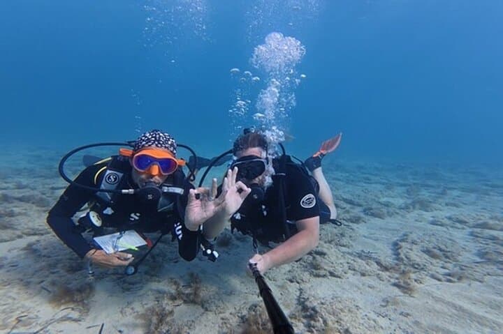 Discover Scuba Diving in Paphos: Beginner Dives to Sea Caves and Turtles