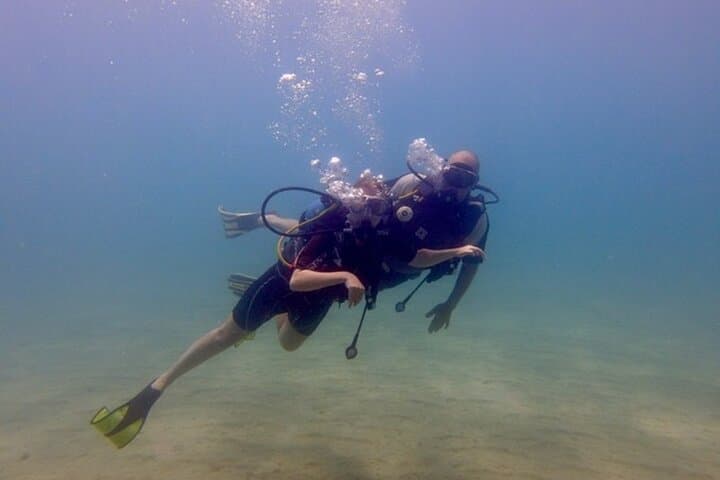 Discover Scuba Diving in Paphos: Beginner Dives to Sea Caves and Turtles photo 3