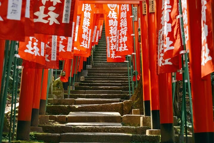 Kamakura Cherry Blossom Half-Day Walking Tour: Temples, Sakura, and Coastal Air photo 4