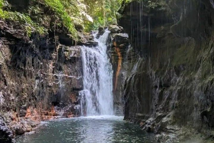 Hidden Valley Springs Nature Getaway: Hot Springs, Forest Walks & Buffet Lunch from Manila