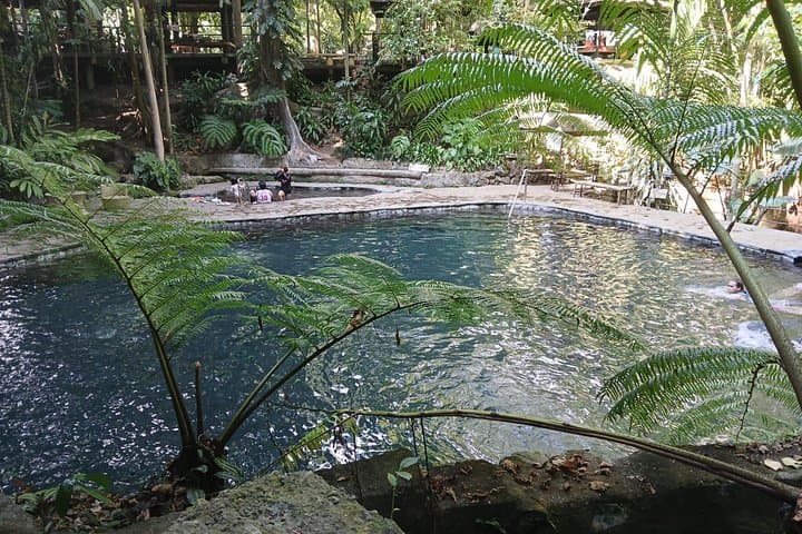 Hidden Valley Springs Nature Getaway: Hot Springs, Forest Walks & Buffet Lunch from Manila photo 2