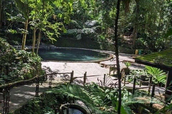Hidden Valley Springs Nature Getaway: Hot Springs, Forest Walks & Buffet Lunch from Manila photo 4