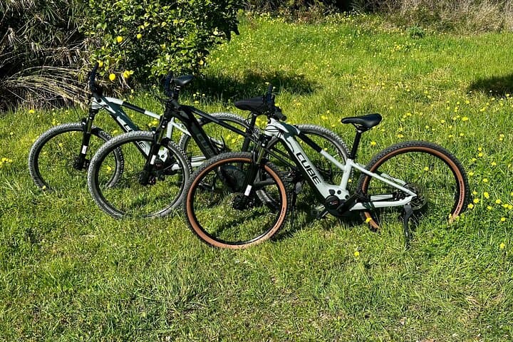 Sesimbra E-Bike Rental: Ride Arrábida's Cliffs, Beaches & Villages