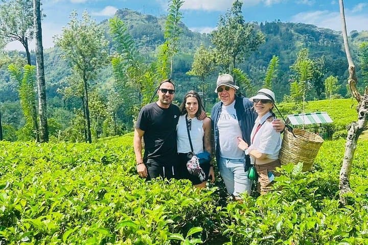 Day Trip to Nuwara Eliya from Kandy: Tea Gardens, Ramboda Falls & Sita Amman photo 1