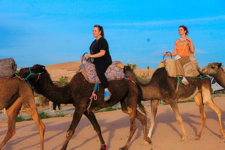 Agafay Desert Quad Biking, Camel Ride and Sunset Dinner from Marrakech photo 6