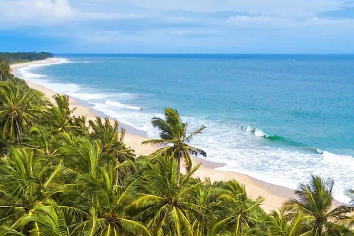 Southern Sri Lanka 9-Day Adventure: Beaches, Rainforest & Safari photo 2