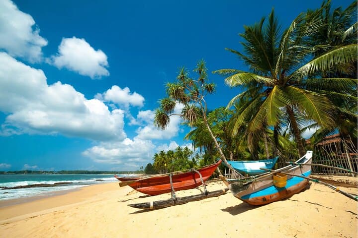 Southern Sri Lanka 9-Day Adventure: Beaches, Rainforest & Safari photo 3