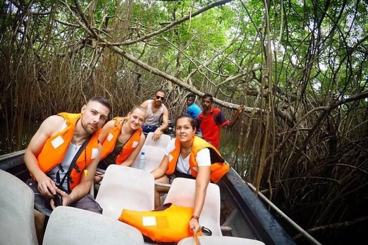 Southern Sri Lanka 9-Day Adventure: Beaches, Rainforest & Safari photo 4