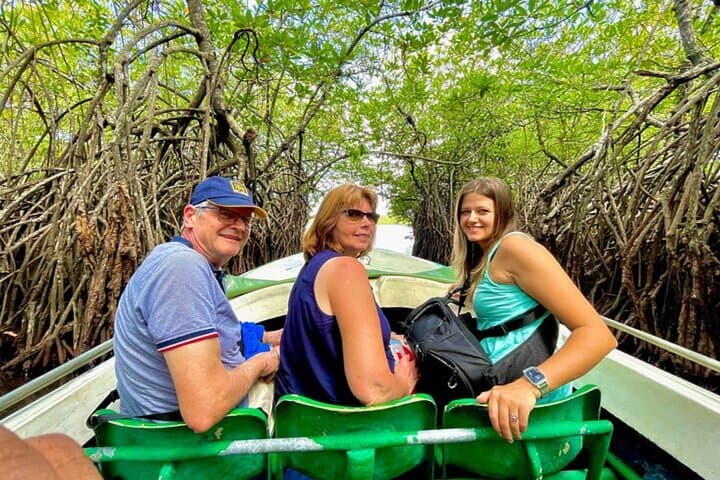 Southern Sri Lanka 9-Day Adventure: Beaches, Rainforest & Safari photo 5
