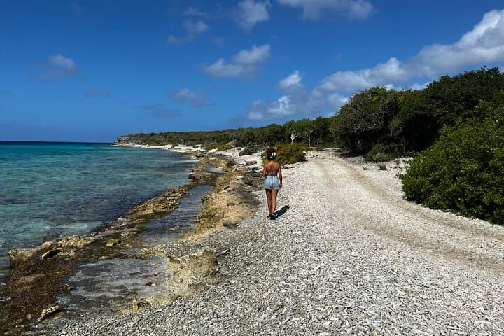 Beach-Hopping Banda Bou: Hidden Gems of Curaçao with a Local Guide photo 3