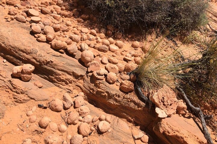 Wind Pebble Canyon Partial Hiking Tour of Antelope Canyon — Slot-Canyon Hike & Navajo Ranch Visit photo 2