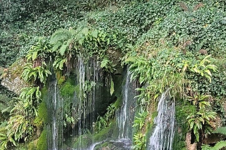 Private Tour: Blarney Castle, Jameson Distillery & Cobh from Cork photo 4