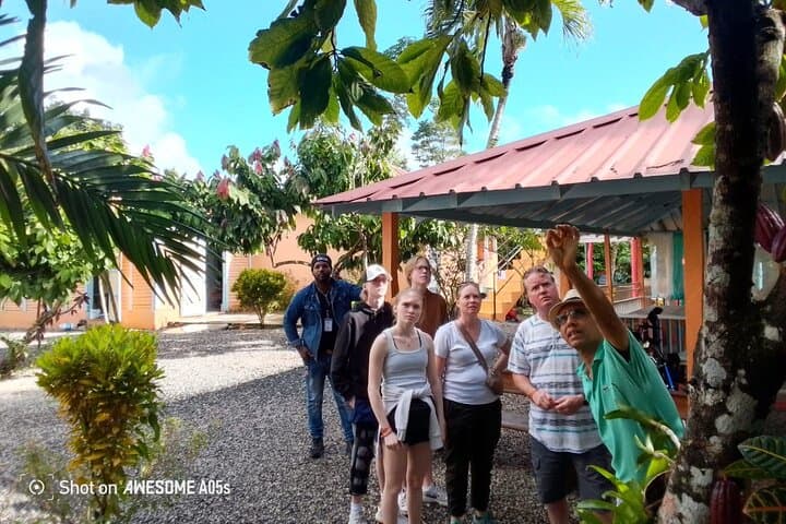 Higüey Private Half‑Day Tour from Punta Cana — Cocoa, Cigars & Basilica Visit photo 3