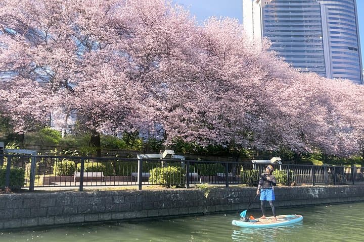 Stand Up Paddle Boarding in Osaka: Paddle by Osaka Castle & City Shores photo 1