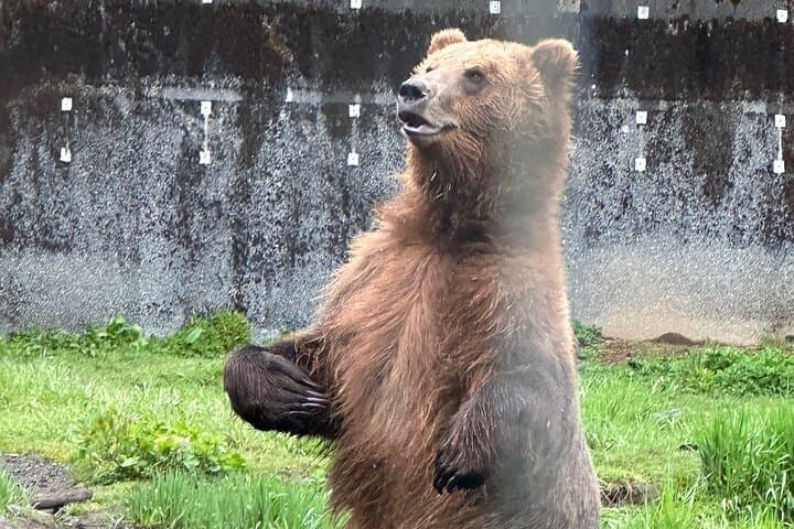 Exploring Sitka: A Private Scenic Tour Through Alaska’s Historic Wilderness photo 5