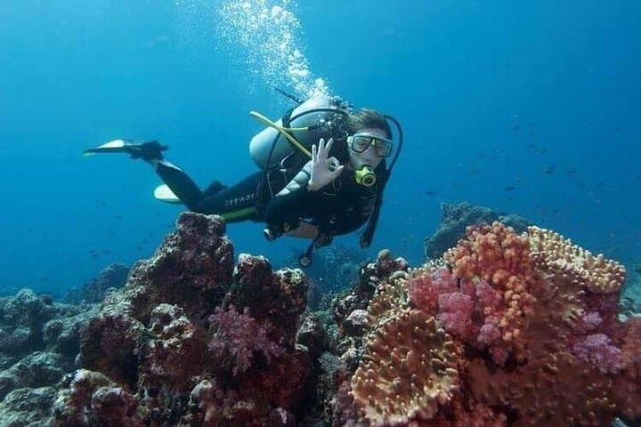 Private Scuba Diving in Nha Trang Bay — Guided Marine Park Adventure with Lunch photo 1