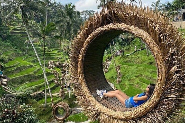 Ubud Private Tour — Monkey Forest, Tegalalang Rice Terraces, Campuhan Ridge & Tegenungan Waterfall photo 1