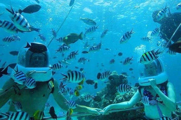Private Bali Sea Walker — Walk the Shallow Reefs of Tanjung Benoa photo 1
