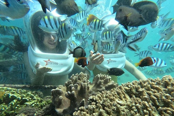 Private Bali Sea Walker — Walk the Shallow Reefs of Tanjung Benoa photo 2