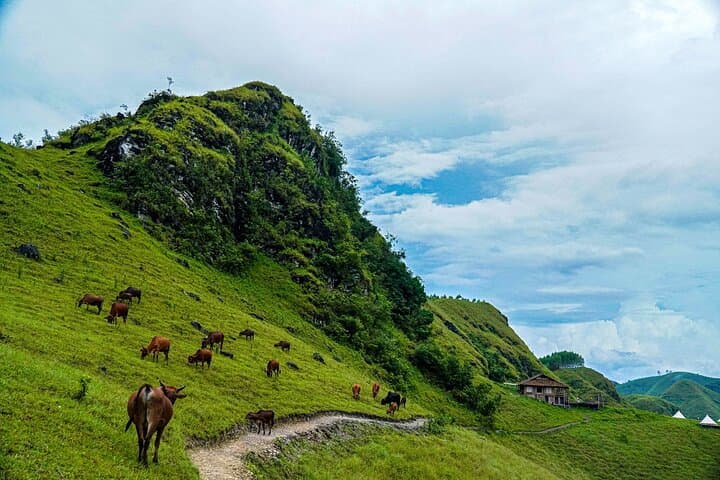 Cao Bang 3-Day Easy Rider Motorbike Loop: Ban Gioc, Khau Coc Cha & Homestays photo 6