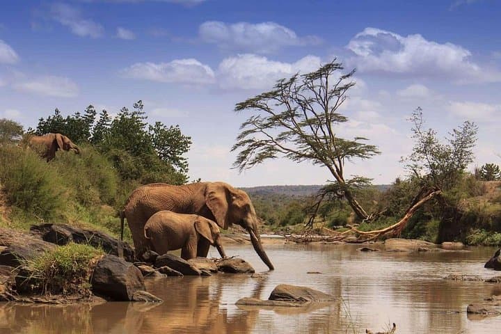 4-Day Aberdare Samburu Safari by 4x4: Wildlife Expedition from Nairobi photo 2
