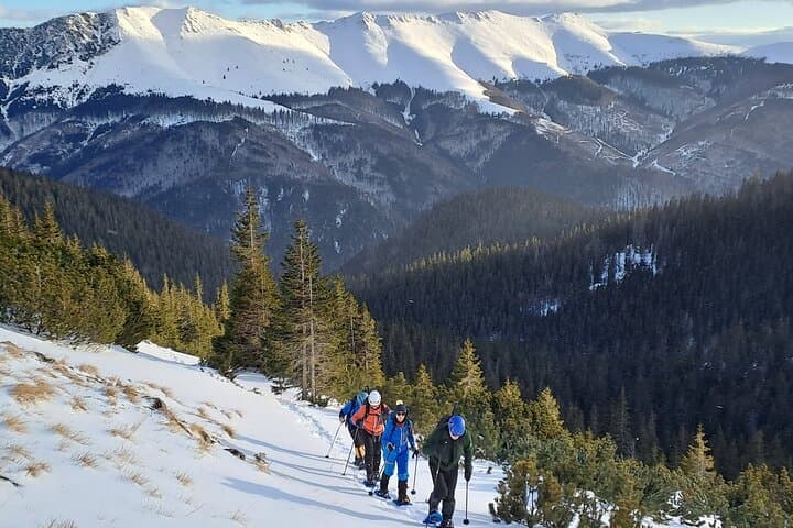 Explore Retezat National Park: Day Hikes, Glacial Lakes & Wildlife from Timișoara