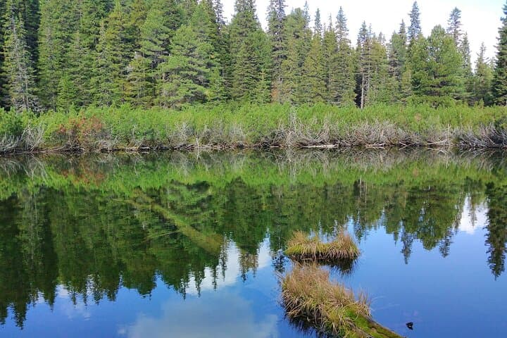 Explore Retezat National Park: Day Hikes, Glacial Lakes & Wildlife from Timișoara photo 5
