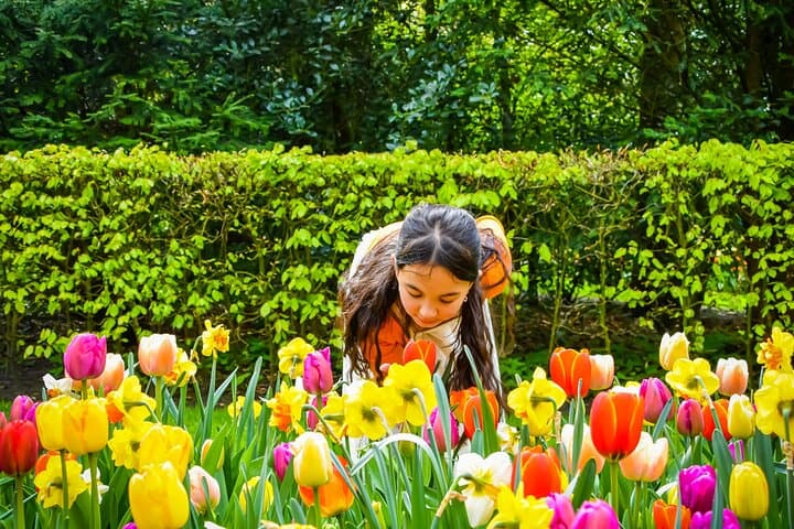 Luxury Keukenhof Private Tour with Canal Cruise & Tulip Experience photo 3