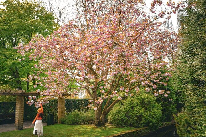 Luxury Keukenhof Private Tour with Canal Cruise & Tulip Experience photo 5