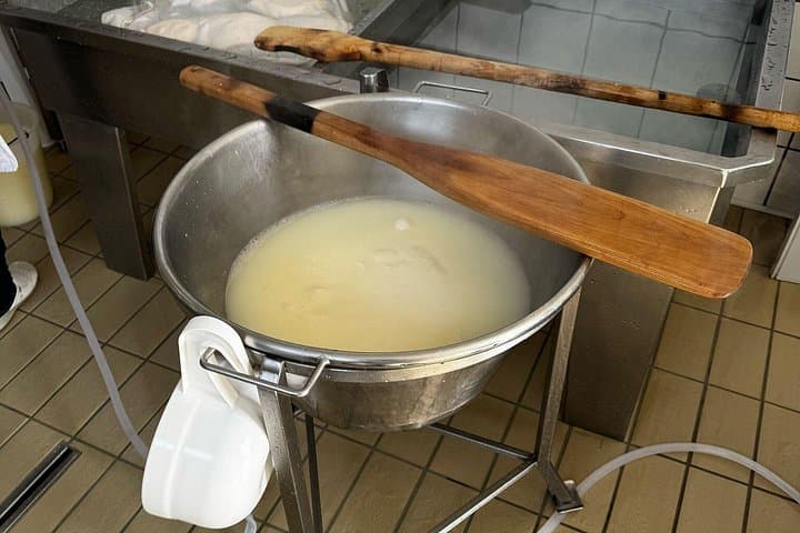 Sorrento Gastronomic Tour: Mozzarella, Limoncello, Olive Oil & Gragnano Pasta photo 4