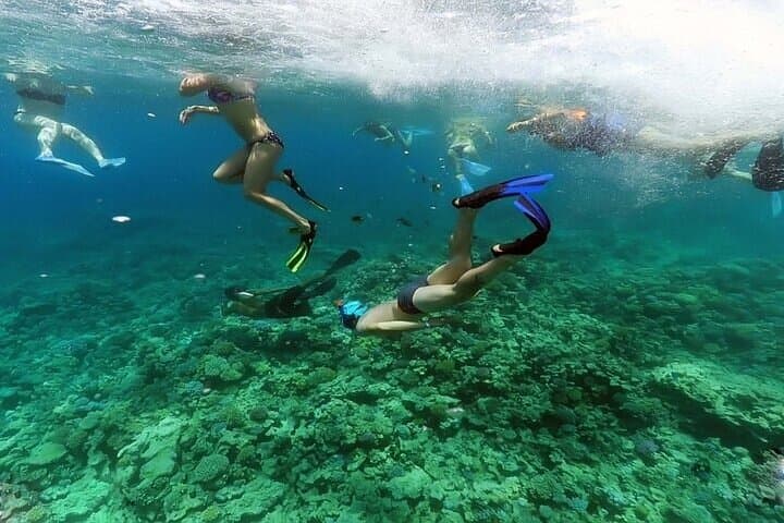 Hula Hula Island Snorkeling & Buffet Lunch — Day Trip from Hurghada photo 3