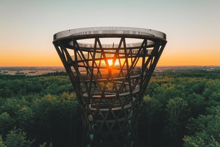 Camp Adventure Forest Tower & Forgotten Giants Day Tour from Copenhagen