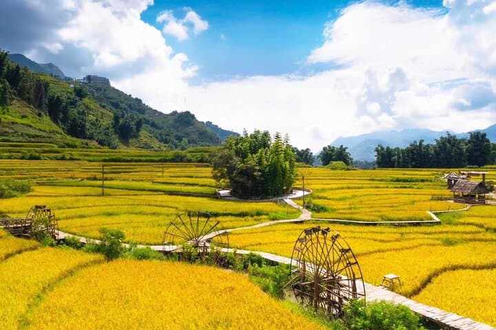 Sapa 2-Day Trek: Rice Terraces, Hmong Villages & Ta Van Valley photo 4
