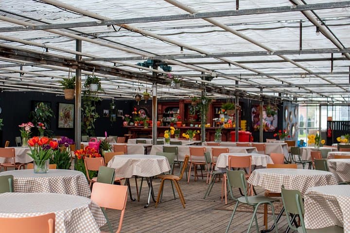 Tulip Wonderland Tour from Amsterdam: Tulip Barn & Flower Fields Day Trip photo 4