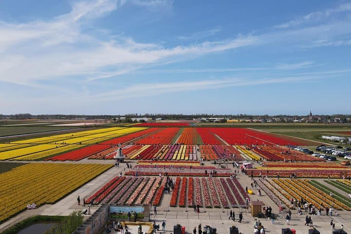 Tulip Wonderland Tour from Amsterdam: Tulip Barn & Flower Fields Day Trip photo 5